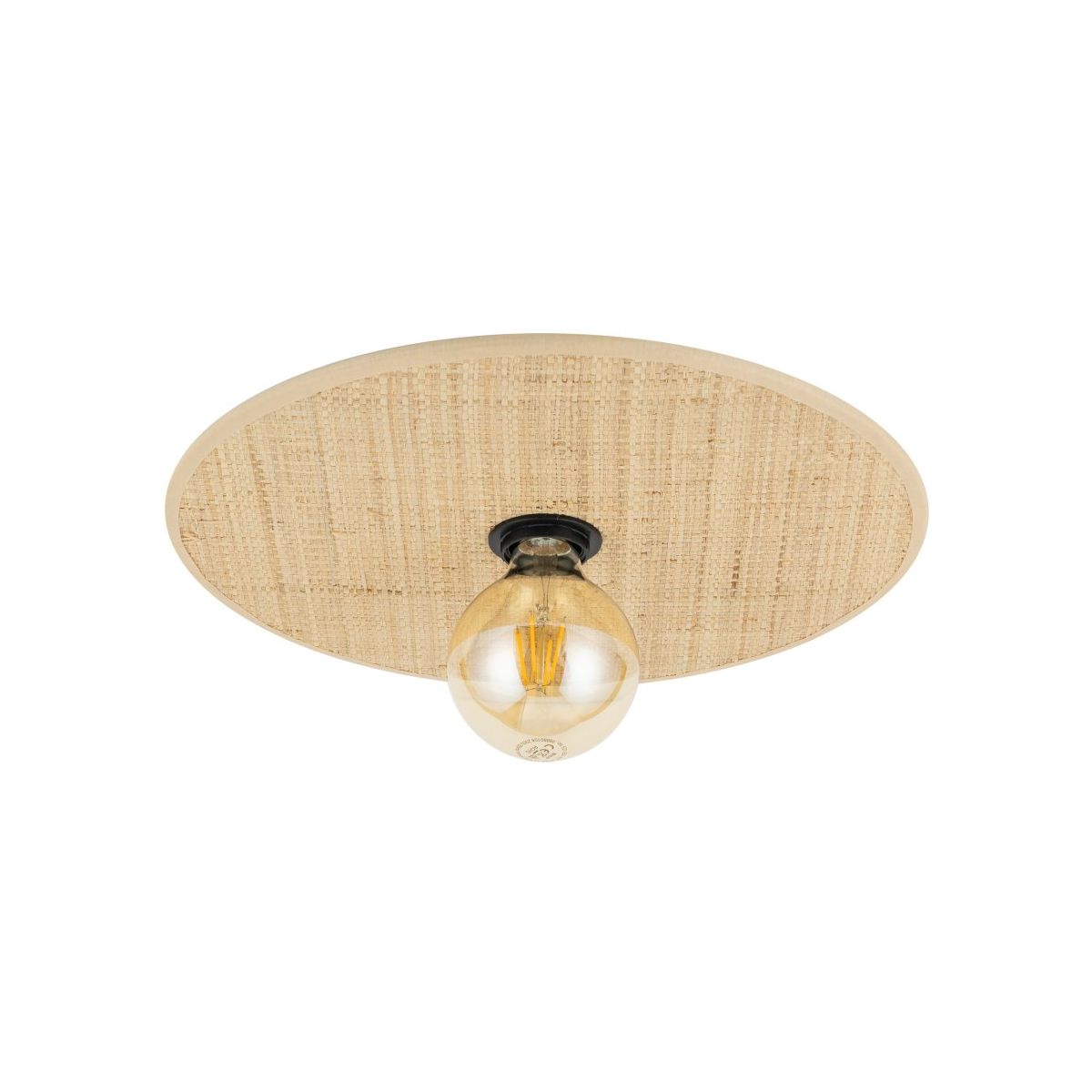 CALMA-11350-TK Lighting-265787
