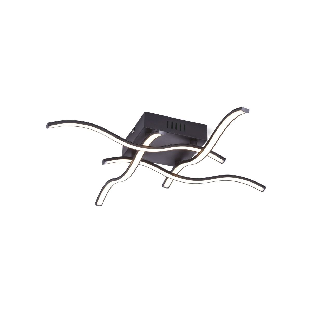 WAVE-15131-18-Paul Neuhaus-251003