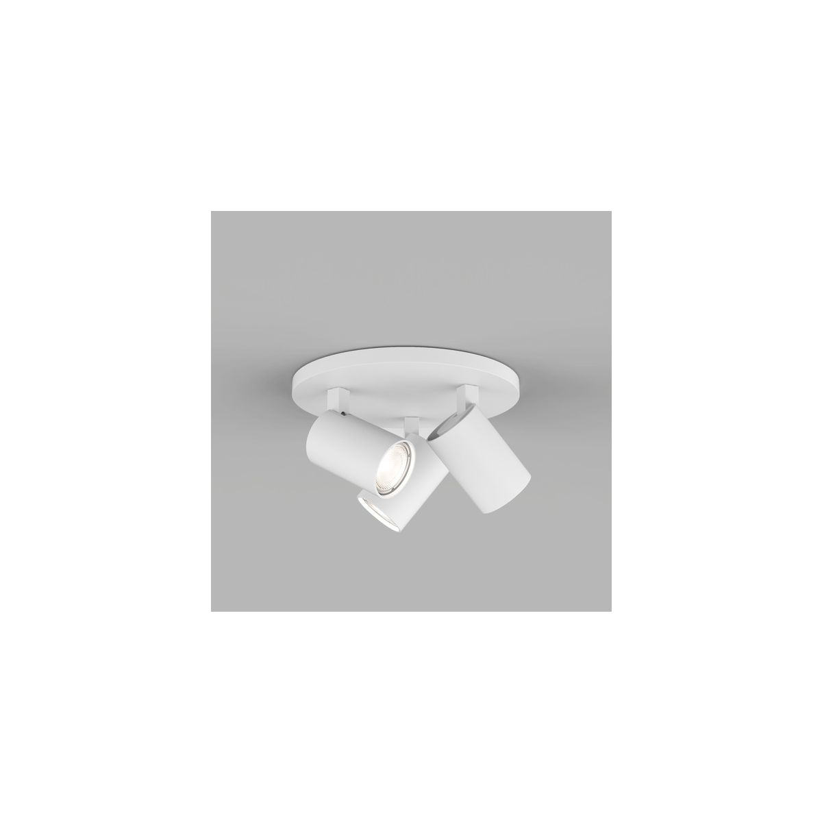 ASCOLI-1286002-Astro Lighting-138492