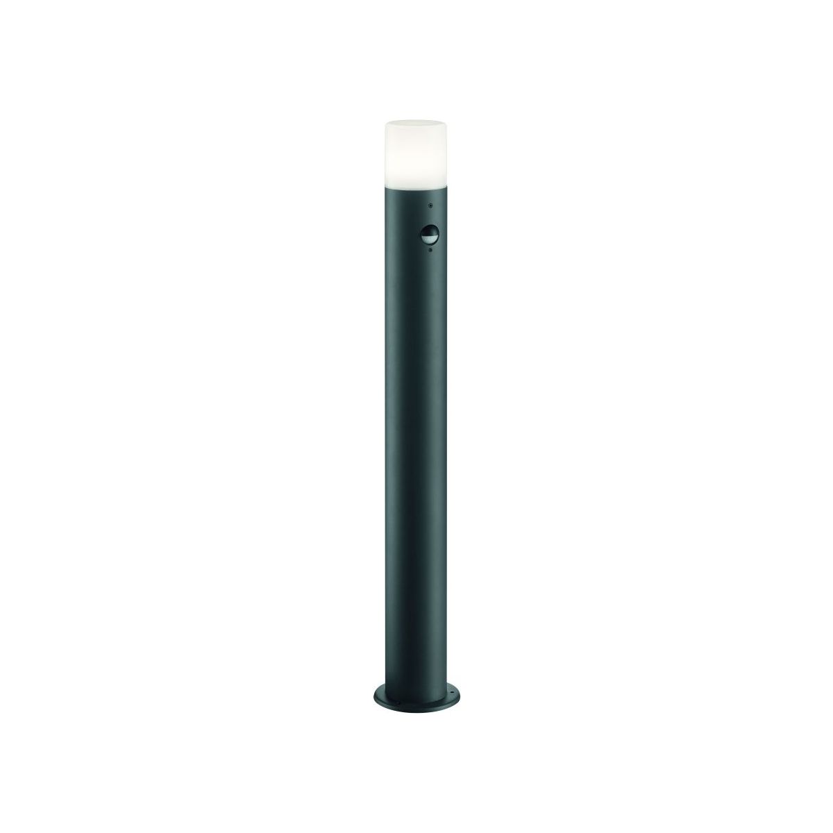 HOOSIC-422260142-TRIO-240867