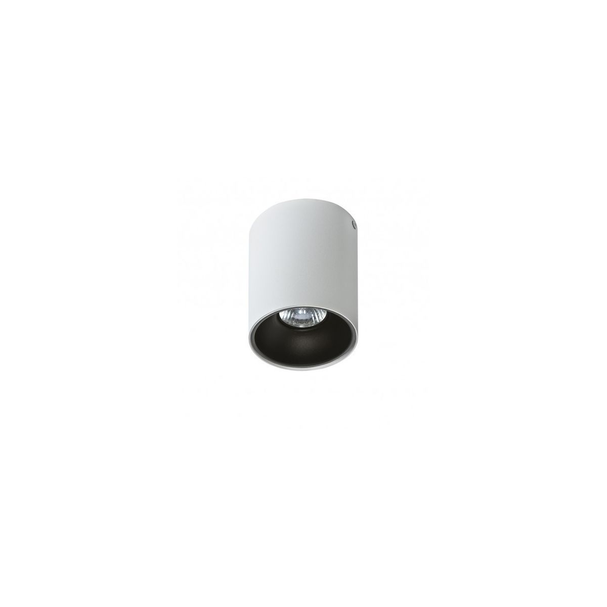 REMO-AZ0819-AZzardo-49485