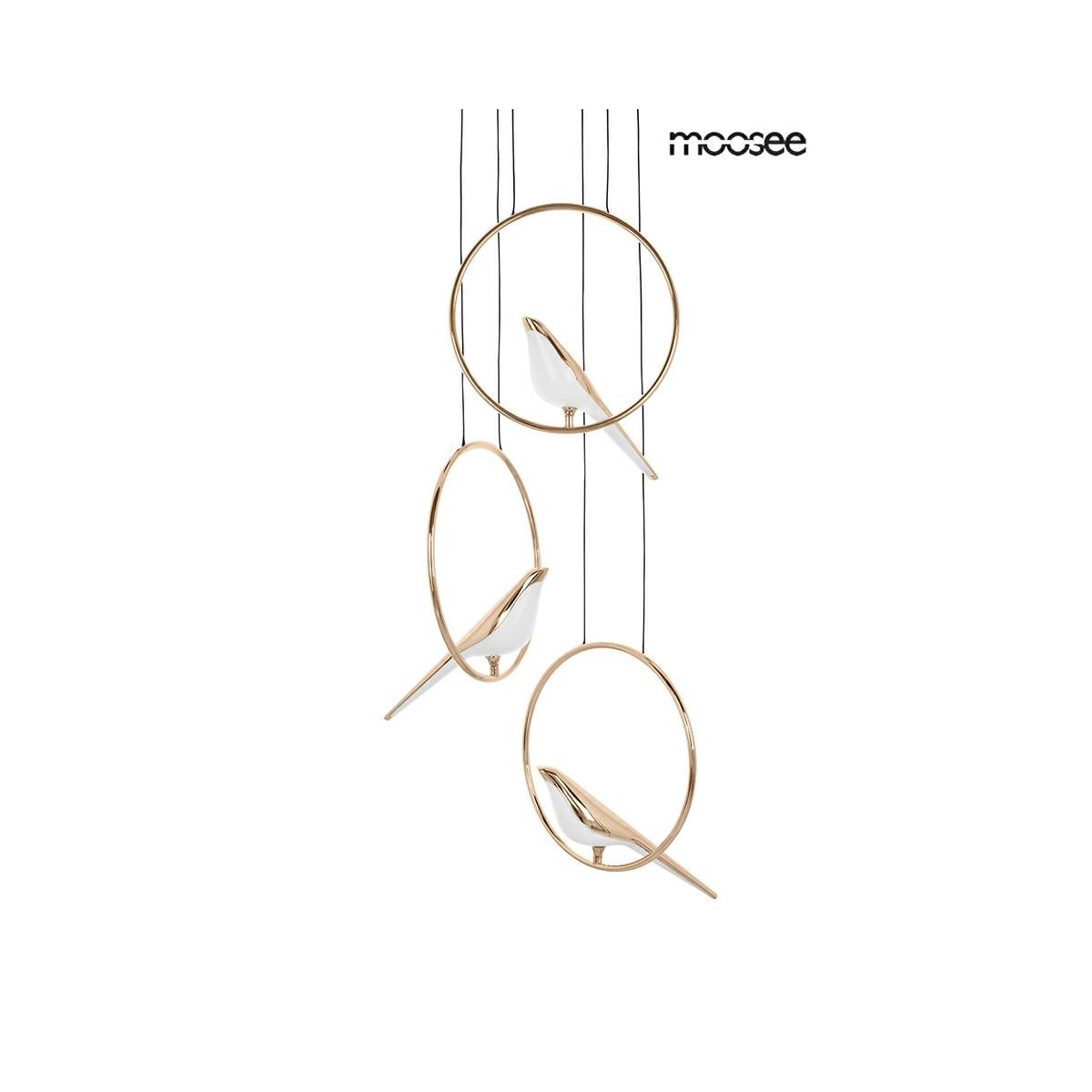 Bird Disc-MSE010100294-King Home-217579