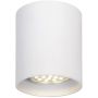 Lumină montată pe suprafață BODI 09100/01/31 1x50w/gu10 ip20 de la Lucide