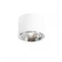 Lumină montată pe suprafață BOT 1046PL_G 1x35W/GU10/ES111 de la Aldex