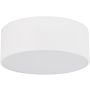 Lustră de tavan LIVO 10983 2x15W/E27 IP54 de la TK Lighting
