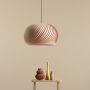 Lampă cu pendul NATURE DARK L 1110G_L 1x60W/E27 IP20 de la Aldex
