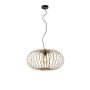 Lampă cu pendul RACOON 11409-79 1x60W/E27 IP20 de la Paul Neuhaus