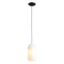 Lampă cu pendul FLASK ORCHID M 8500G1_M 1x15W/E27 de la Aldex