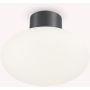 Lampă de tavan CLIO 148861 1x42W/E27 ip44 de la Ideal Lux