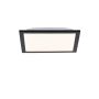 Panou LED FLAT 14740-18 3000K 1x6W/LED 485LM IP20 de la Paul Neuhaus