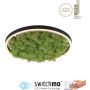 Lampă de tavan GREEN RITUS 15391-66 3000k 1x20W/LED 630lm ip20 de la Paul Neuhaus
