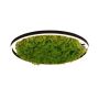 Lampă de tavan GREEN RITUS 15392-66 3000k 1x28W/LED 960lm ip20 de la Paul Neuhaus