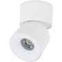Spot SPARK 18168 3000/4000/6000 K 1x10W/LED 488lm IP20 de la TK Lighting