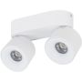 Spot SPARK 18171 3000/4000/6000 K 2x10W/LED 965lm IP20 de la TK Lighting