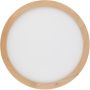 Lustră de tavan AQUA WOOD 18011 3000K, 4000K, 6500K 1x36W/LED 4080lm IP54 de la TK Lighting