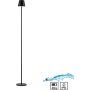 Lampă de podea EURIA 19252-18 3000k 1x2,5W/LED 320lm ip54 de la Paul Neuhaus