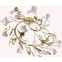 Lampă de tavan LEAF MX2858-6-EGN 6x3.5W/G9 ip20 de la Zuma Line