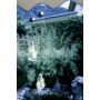 Lampă solară SOLAR 48513 1x0,06W/LED de la Eglo