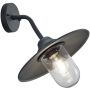 Aplique de perete BRENTA 201760142 1x40w/e27 ip44 de la Trio