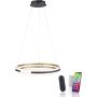 Lampă cu pendul Q-BELUGA 2051-60 2700-5000k 1x62W/LED 6900lm ip20 de la Paul Neuhaus