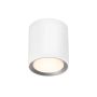 Lumină montată pe suprafață LANDON 2110670101 1x6,5W/LED IP44 de la Nordlux