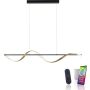 Lampă cu pendul Q-SWING 2385-13 2700-5000k 1x28W/LED 3100lm ip20 de la Paul Neuhaus