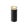 Lampă de podea LINUM 2519061 1x2W/GU5,3/MODUL12LED de la Garden Lights