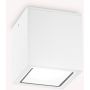 Lumină montată pe suprafață TECHO 251523 1x20W/GU10 ip54 de la Ideal Lux