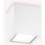 Lumină montată pe suprafață TECHO 251561 1x20W/GU10 ip54 de la Ideal Lux