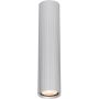 Lumină montată pe suprafață Rilok CLN-83920-M-ALU 1x10W/GU10 IP20 de la Italux