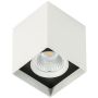 Lumină montată pe suprafață Alden White Black 4000K SLC78002/12W 4000K WH+BL 4000K 1x12W/LED 1010lm IP20 de la Italux