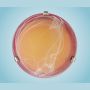 Lustră de tavan SAMOA 27883 1x60W/E27 de la Eglo