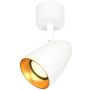 Spot Tino SPL-36748-1R-WH-GD 1x10W/GU10 IP20 de la Italux