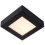 Lampă de tavan BRICE-LED 28117/17/30 3000k 1x15w/led 800lm ip44 de la Lucide