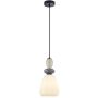 Lampă cu pendul Domali PND-36816-1D-BK-WH 1x40W/E27 IP20 de la Italux