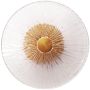 Aplique de perete ALLURE W0356 3000k 1x5w/led 190lm ip20 de la Maxlight