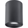 Lumină montată pe suprafață HADAR 313102 1x10W/GU10 IP20 de la Polux