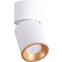 Lumină montată pe suprafață NIXA 314260 1x10W/GU10 IP20 de la Polux