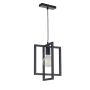 Lampă cu pendul EDEN 32231 1x60W/E27 de la Sigma Lighting