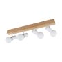 Spot TOWNSHEND 3 33172 4x60W/E27 de la Eglo