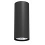 Lumină montată pe suprafață Point 1250 1x10W/GU10 IP20 de la Antigo