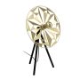 Lampă de masă CASTANUELO 43808 1x40W/E27 IP20 de la Eglo
