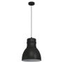 Lampă cu pendul EBURY 43622 1x60W/E27 IP20 de la Eglo