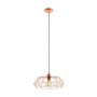 Lampă cu pendul CARLTON 2 49488 1x60W/E27 de la Eglo