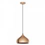Lampă cu pendul HAPTON 49449 1x60W/E27 de la Eglo