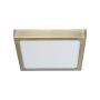 Lustră de tavan LENYS SQ IV. 49063 1x15W/LED 1350lm IP20 de la Prezent