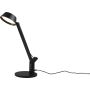 Lampă de birou AVA 523090132 3000+4000+6300k 1x5w/led 600lm ip20 de la Trio