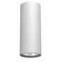 Lumină montată pe suprafață Point 1251 1x10W/GU10 IP20 de la Antigo