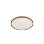 Lustră de tavan Jaso 20887 3000K 1x22W/LED 2700 lm IP20 de la Fischer&Honsel
