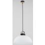 Lampă cu pendul BOLO 60584 1x60W/E27 de la Alfa